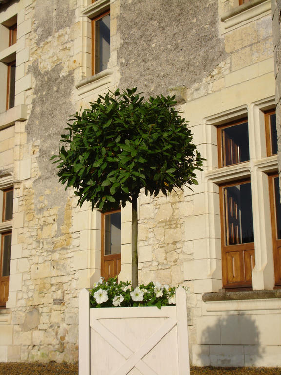 Bed and Breakfast Manoir Du Bois Noblet Louerre Zewnętrze zdjęcie