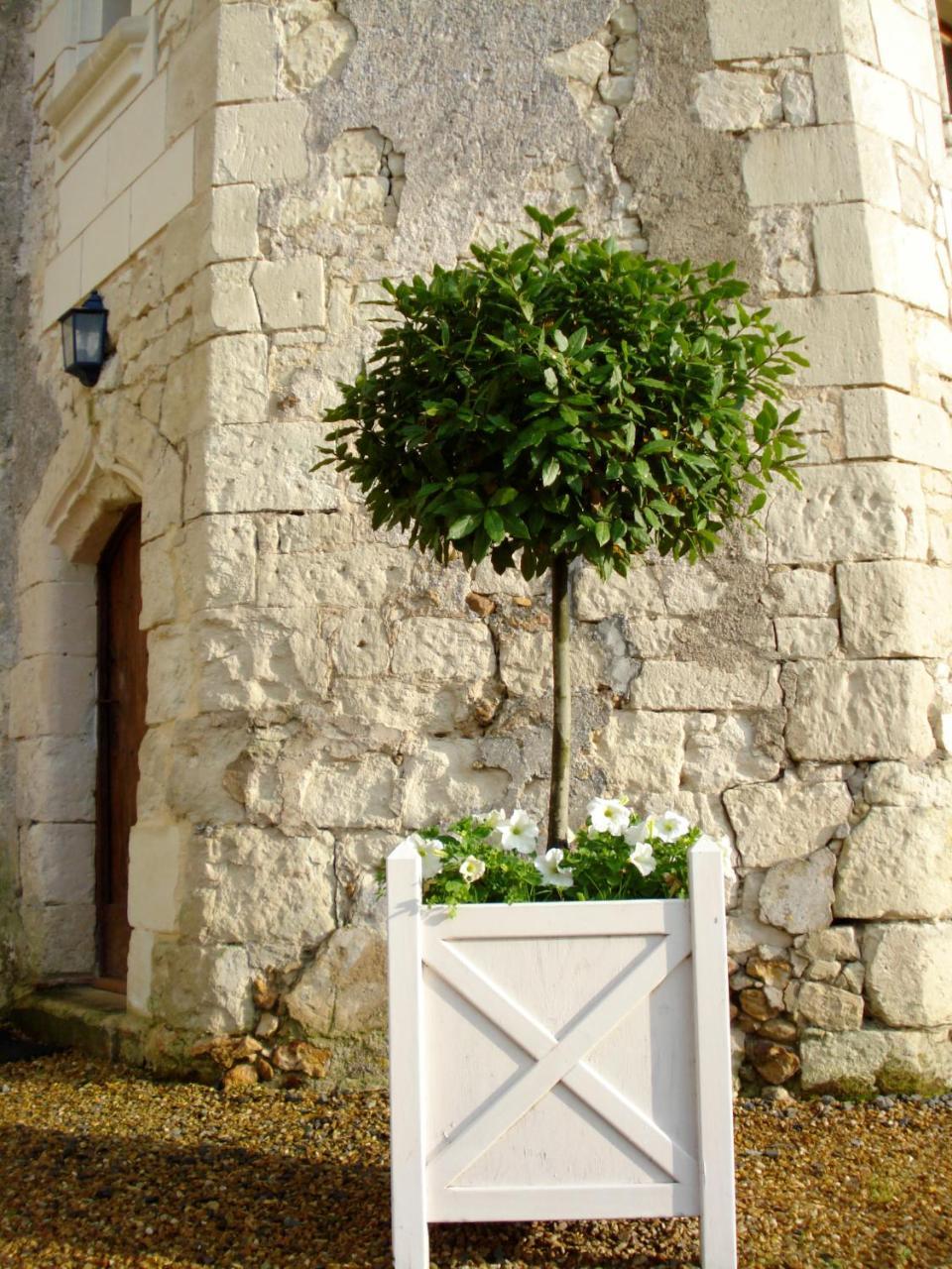 Bed and Breakfast Manoir Du Bois Noblet Louerre Zewnętrze zdjęcie